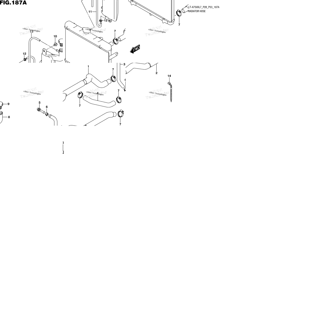Radiator Hose