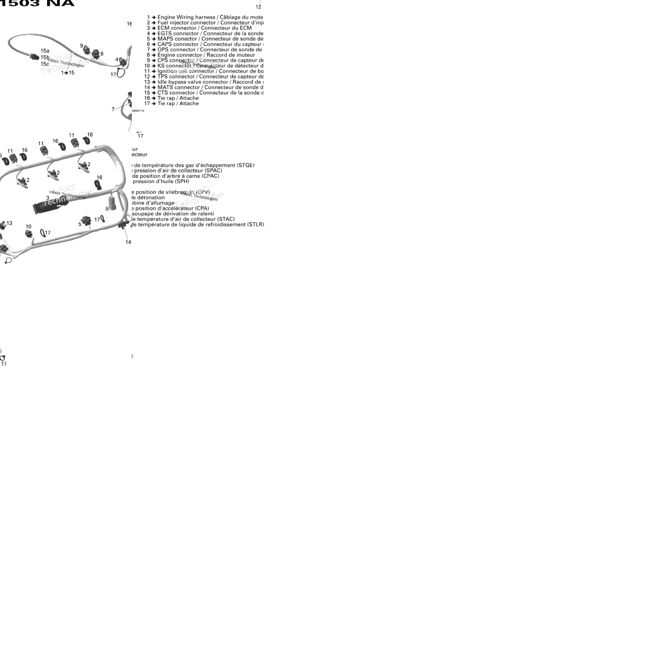 Engine Harness