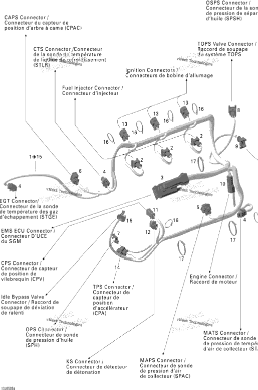 Engine Harness Rotax