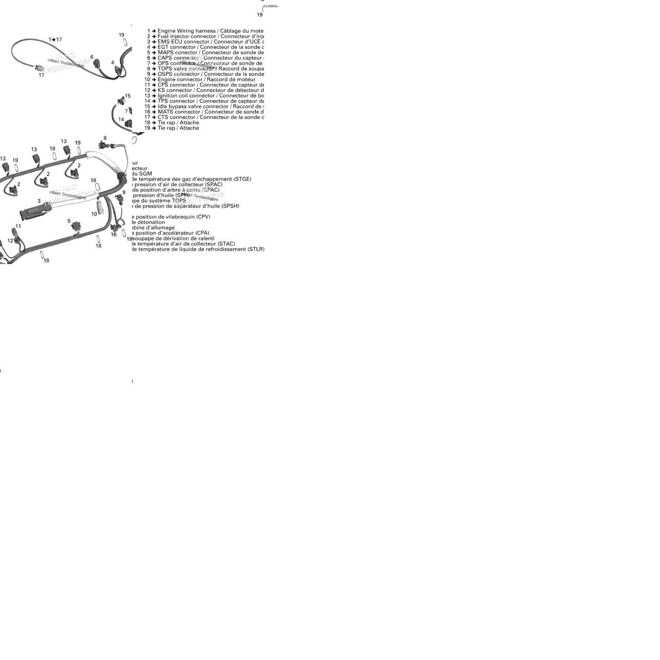 Engine Harness