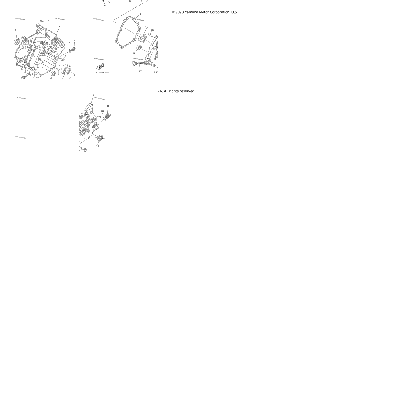 Crankcase Cover 1