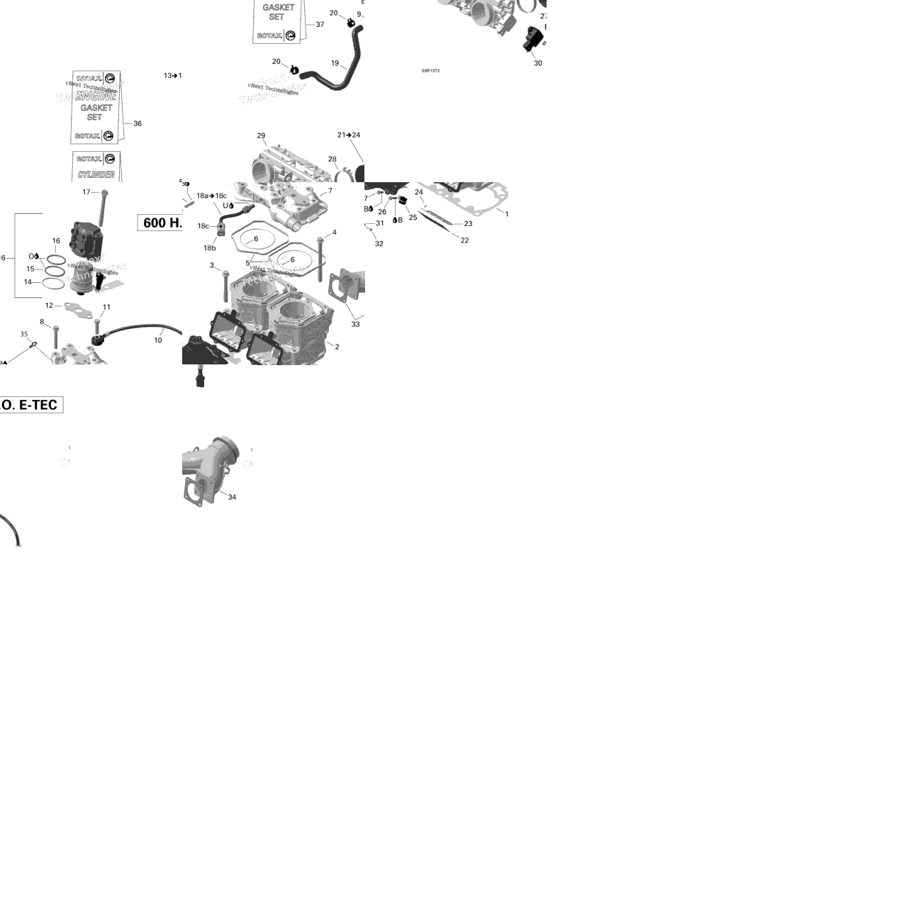 Cylinder And Cylinder Head