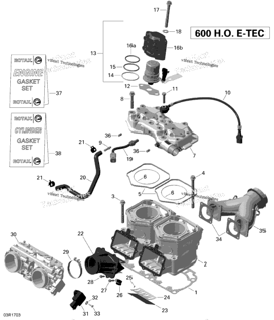 Cylinder And Injection System - 600Ho E-Tec