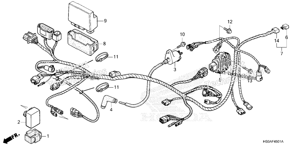Wire Harness (2)