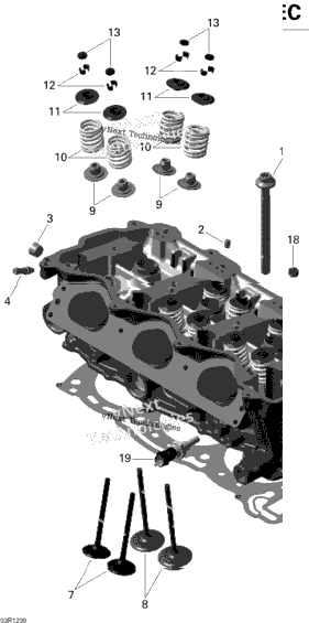 Cylinder And Exhaust Manifold