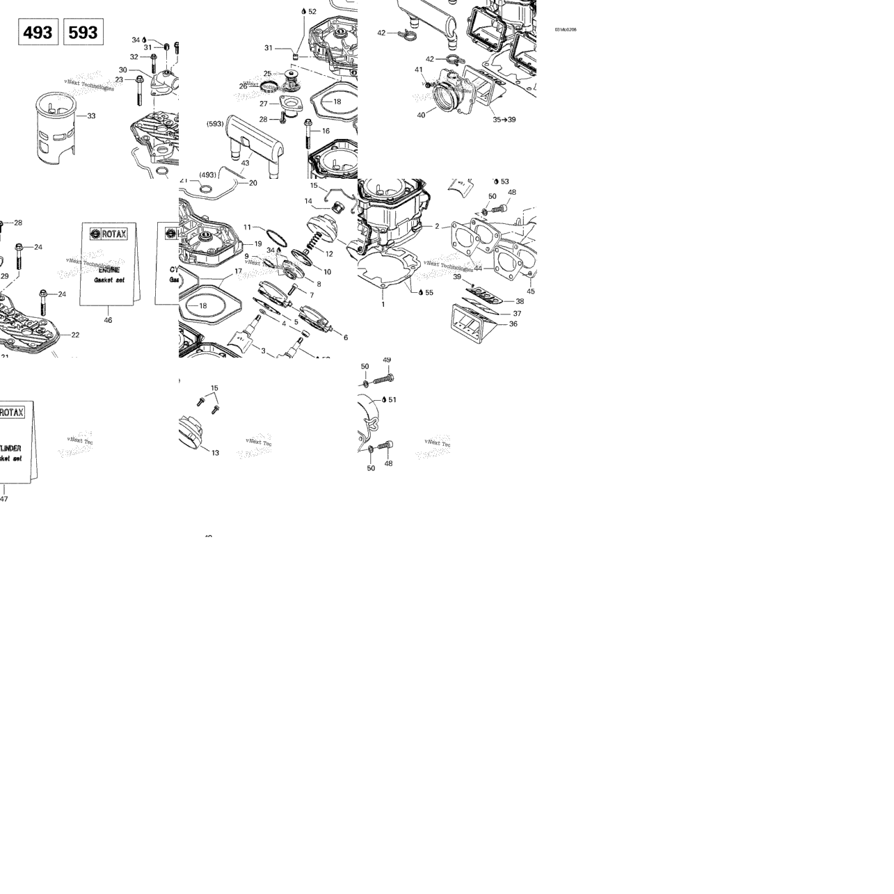 Cylinder, Exhaust Manifold, Reed Valve (493