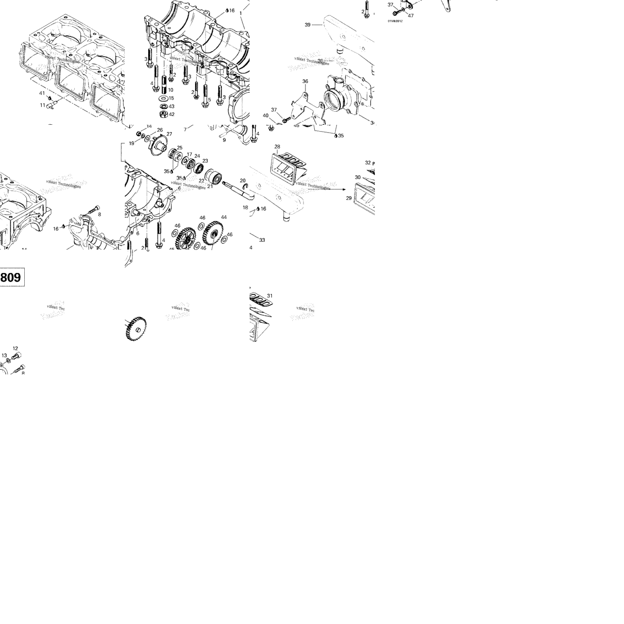 Crankcase, Reed Valve, Water Pump (809)