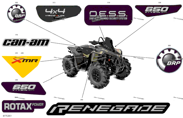 Body - Decals