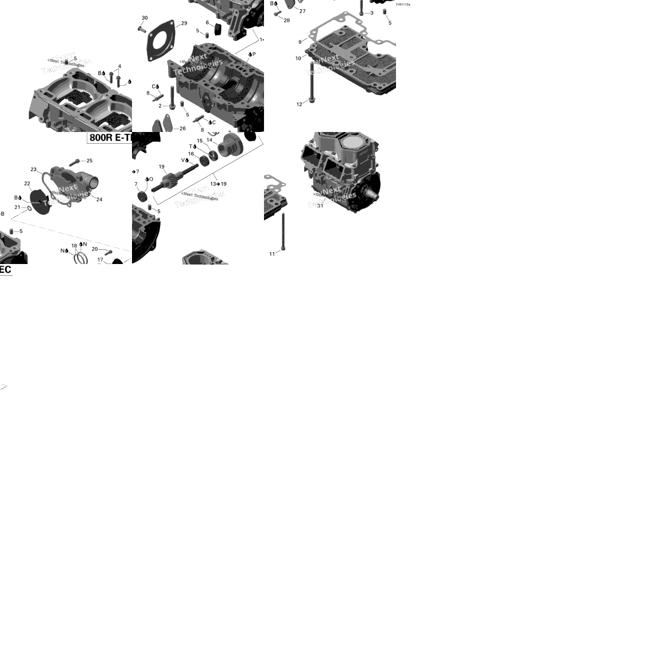 Crankcase And Water Pump (Renegade)