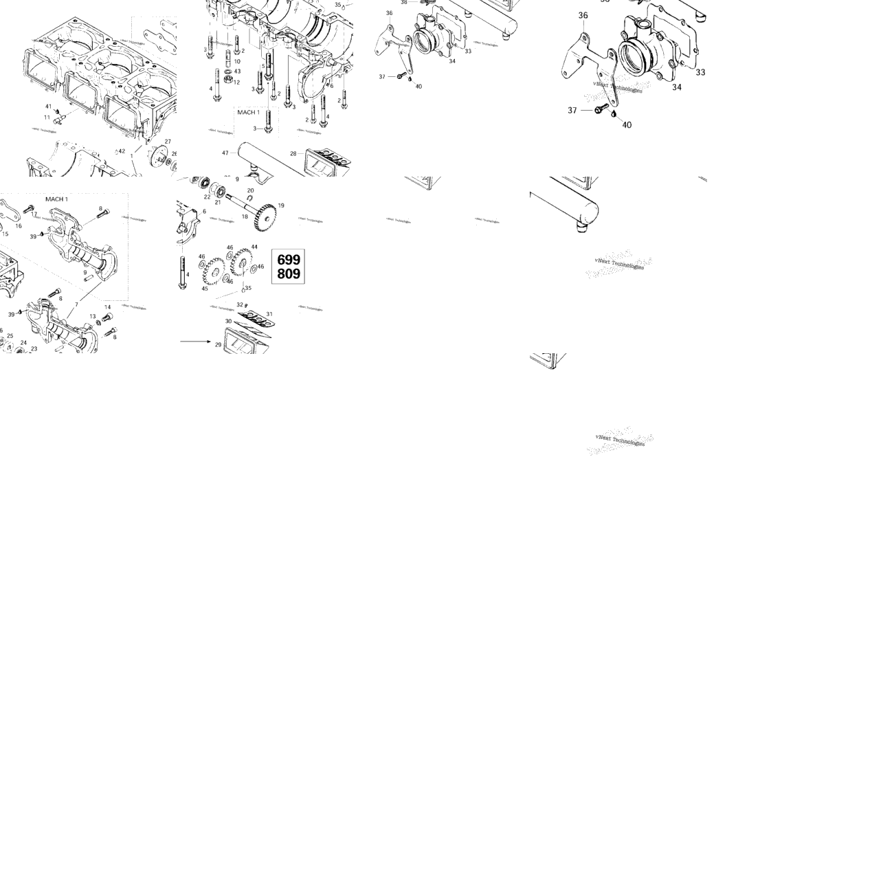 Crankcase, Reed Valve, Water Pump (699,809)