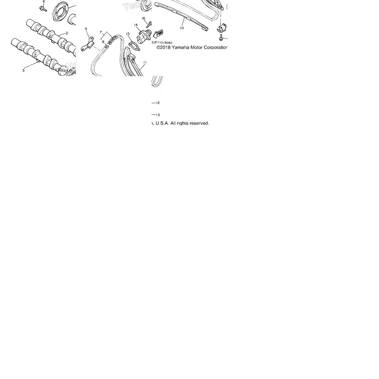 Camshaft Chain