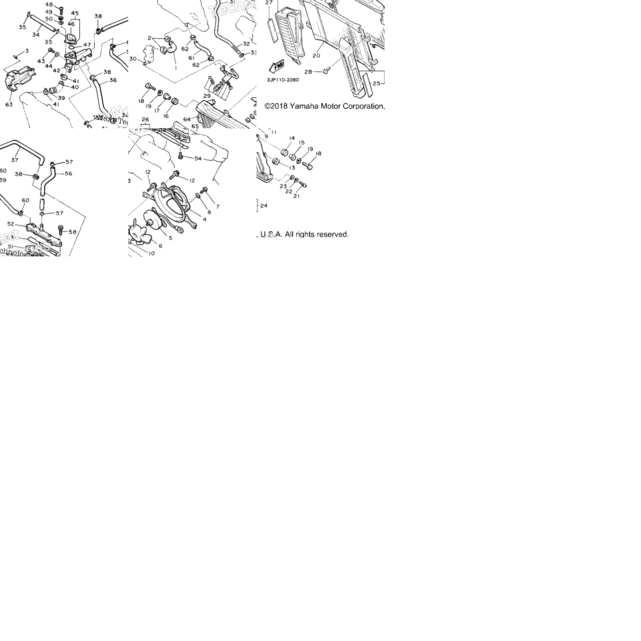Radiator Hose