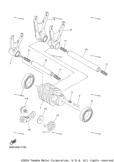 Shift Cam & Fork