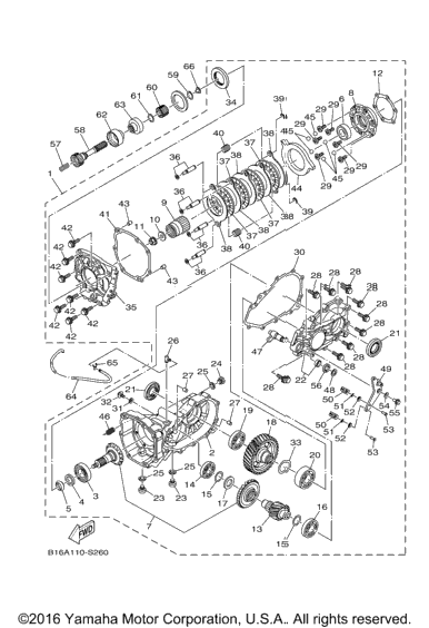 Drive Shaft