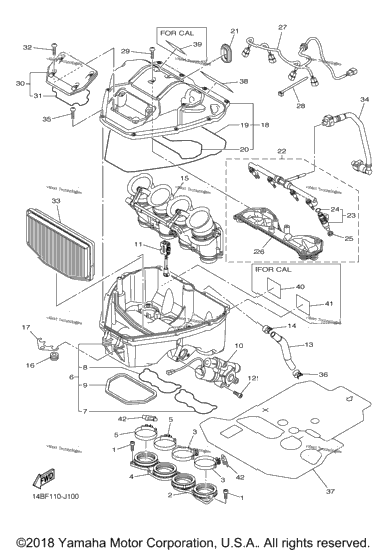 Intake
