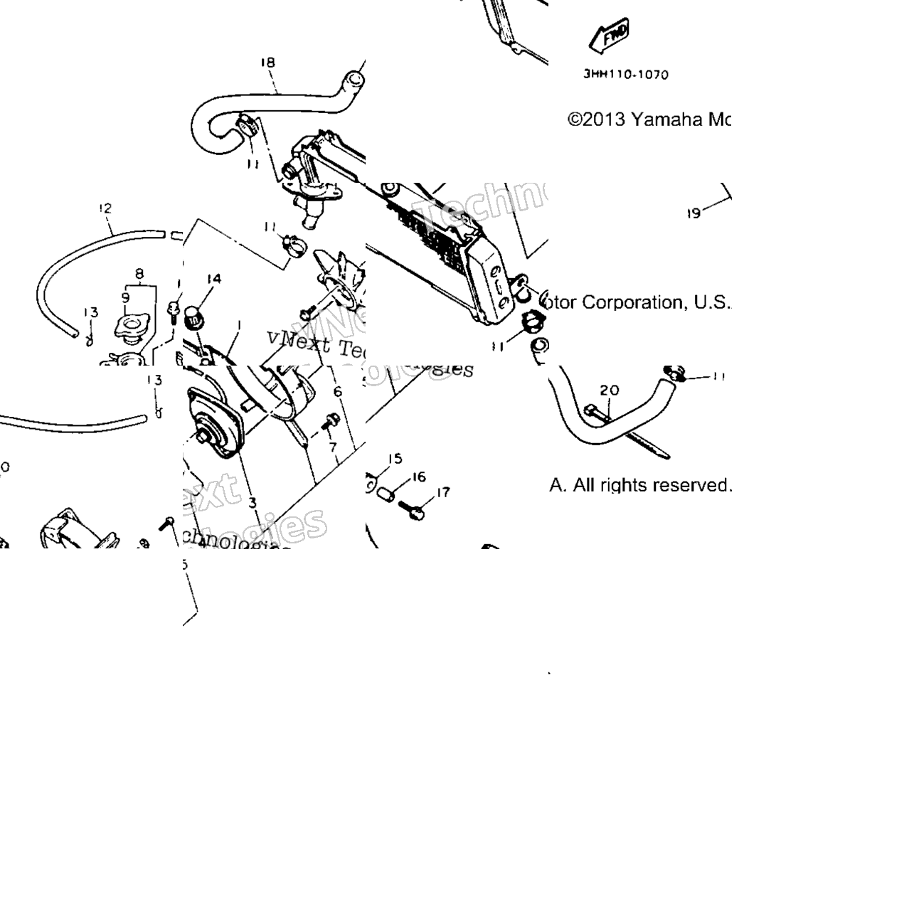 Radiator - Hose