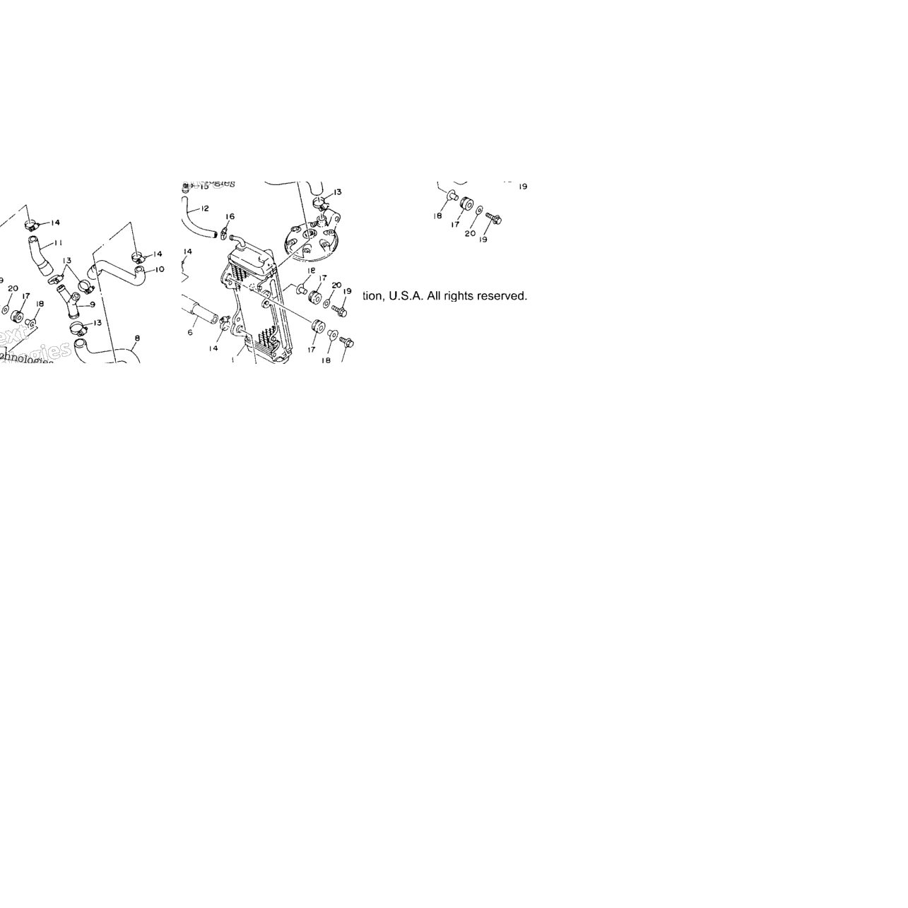 Radiator Hose
