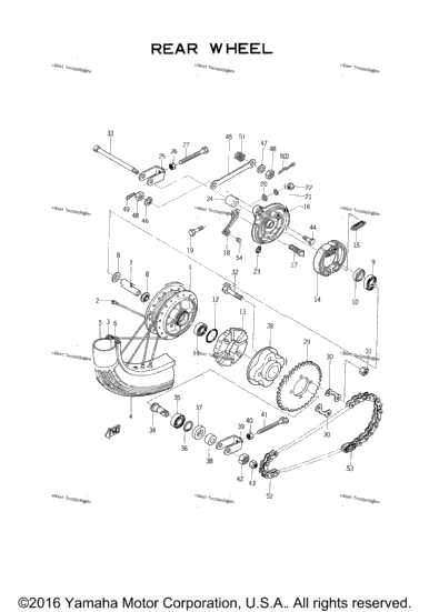 Rear Wheel
