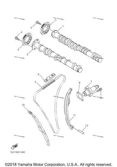 Camshaft Chain