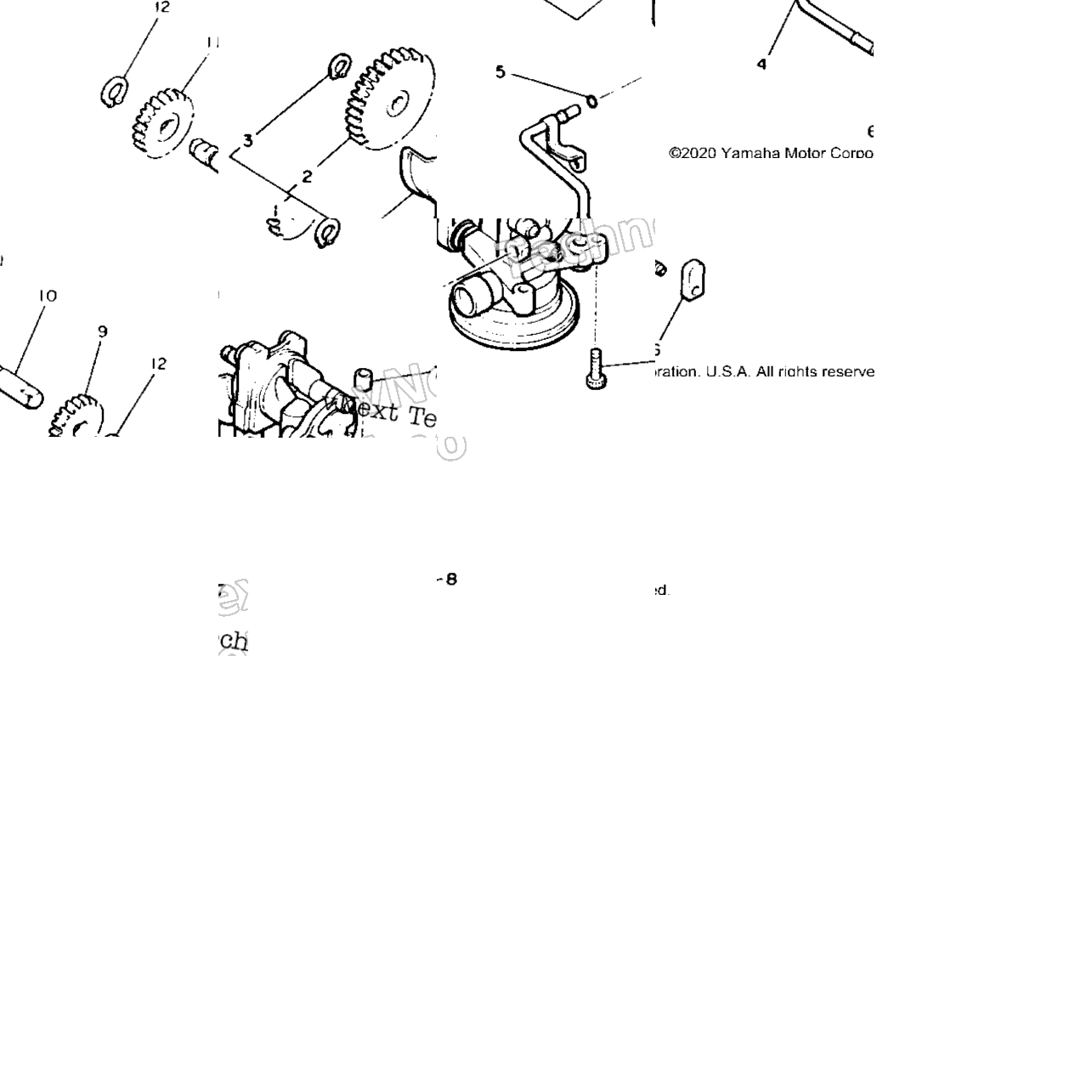 Oil Pump