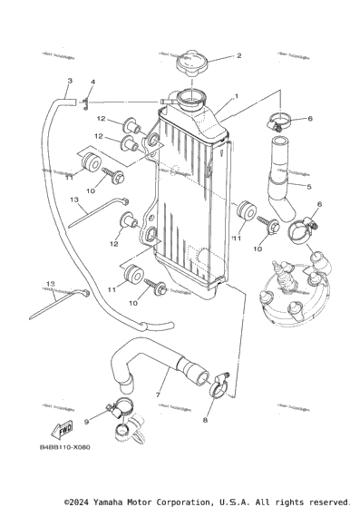 Radiator & Hose