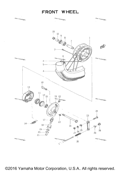 Front Wheel