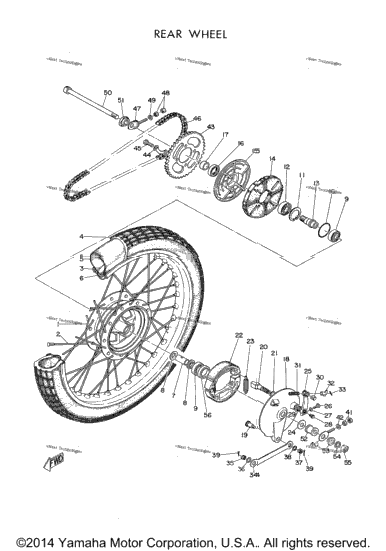 Rear Wheel