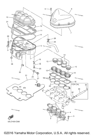 Intake