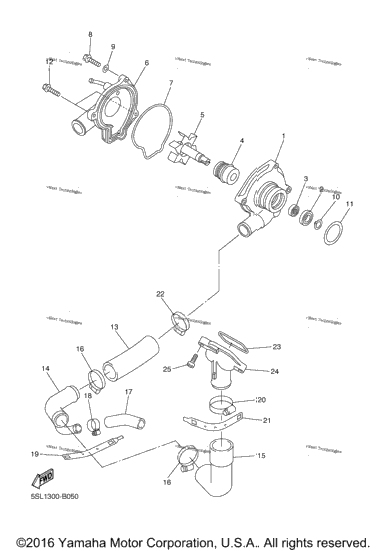 Water Pump