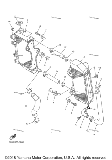 Radiator Hose