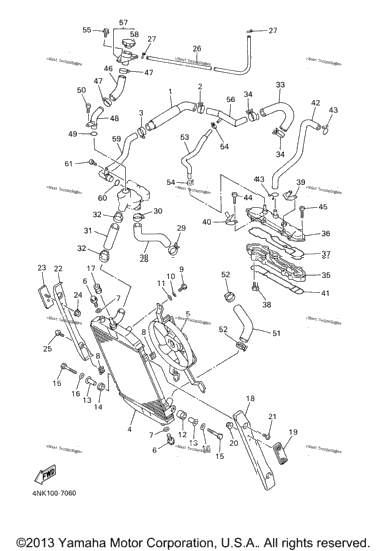 Radiator Hose