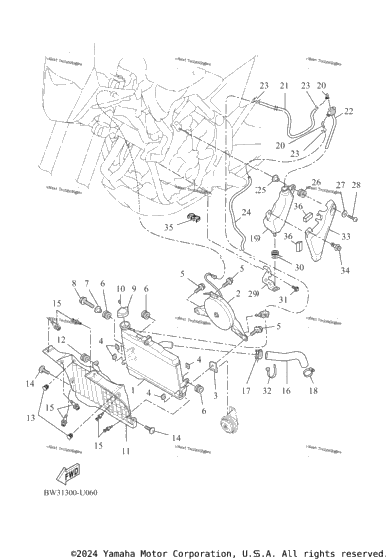 Radiator & Hose
