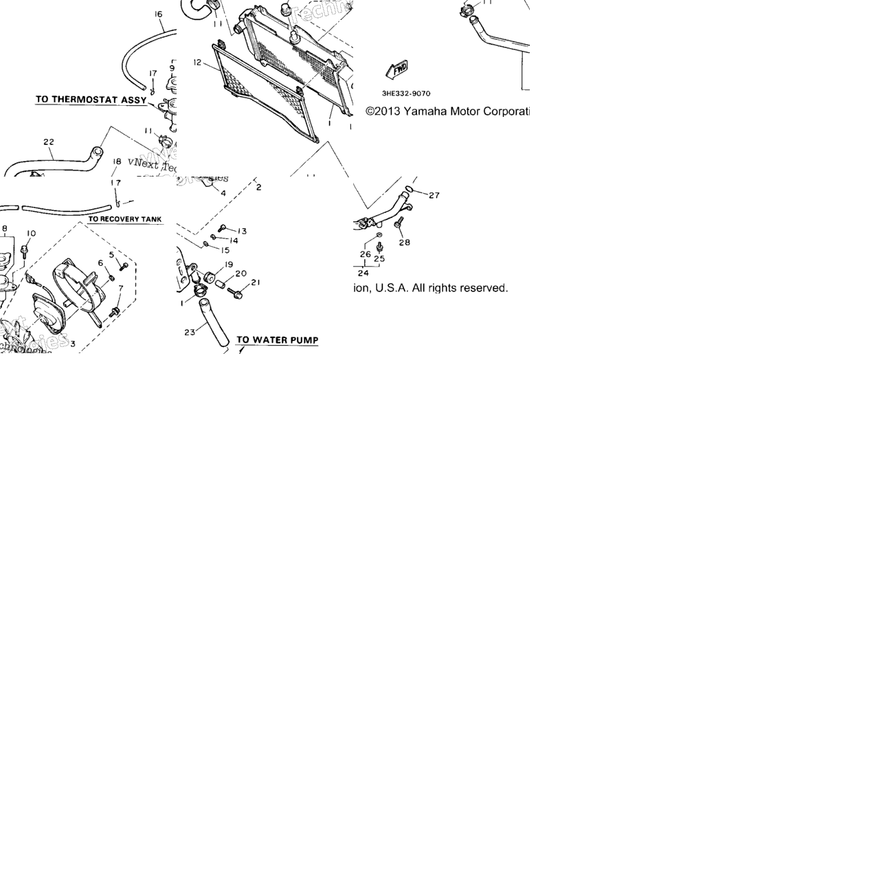 Radiator Hose