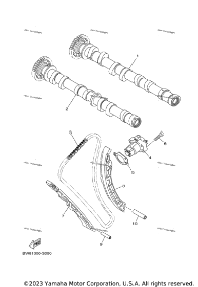 Camshaft & Chain