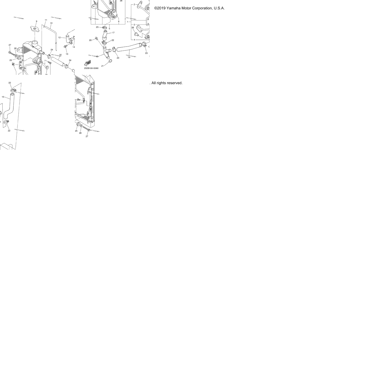 Radiator Hose