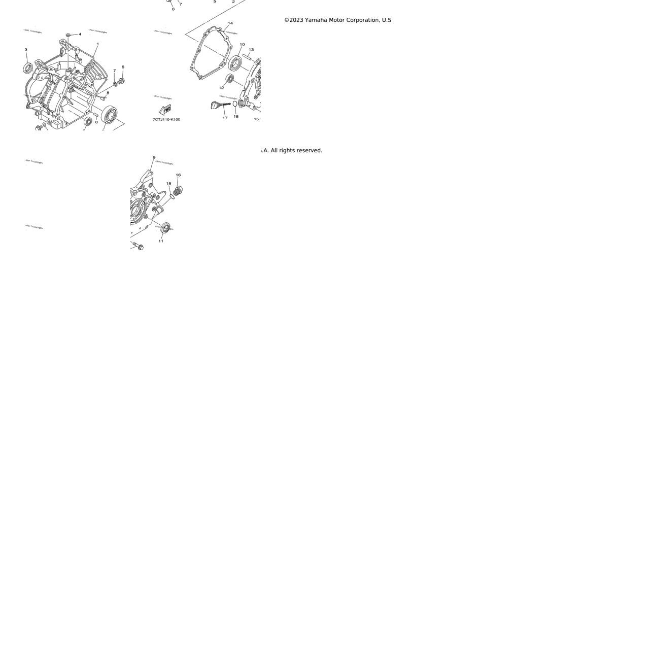 Crankcase Cover 1