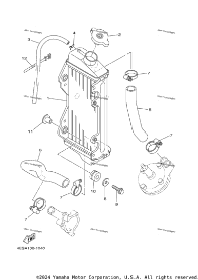 Radiator Hose