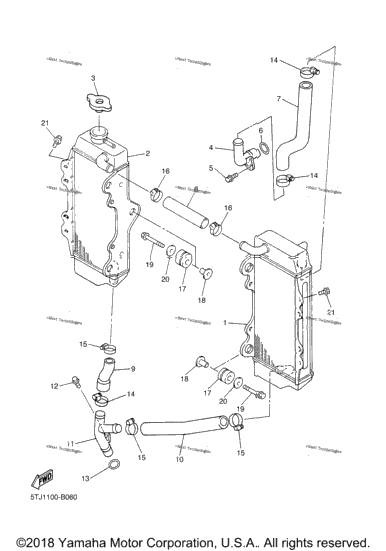 Radiator Hose