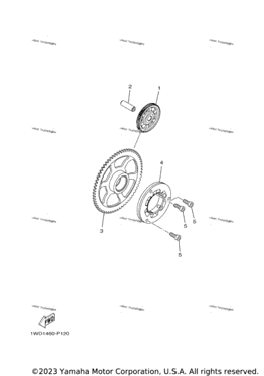 Starter Clutch