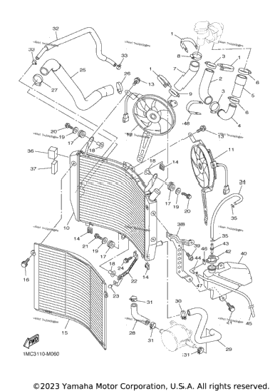 Radiator & Hose