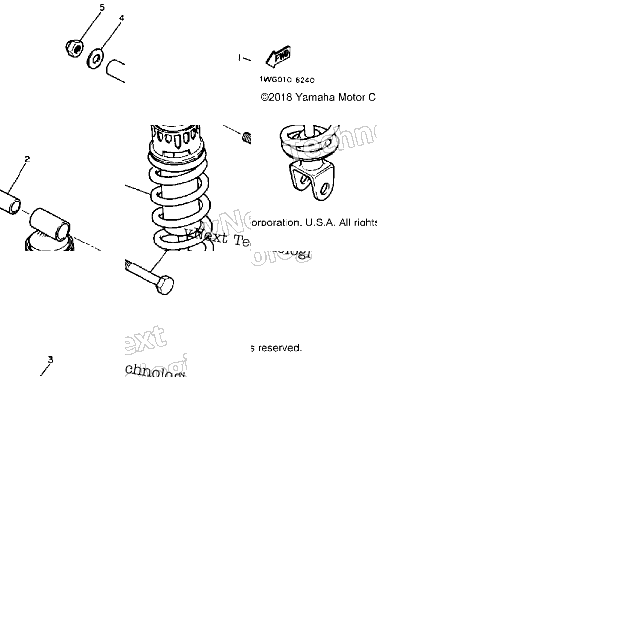 Rear Shocks