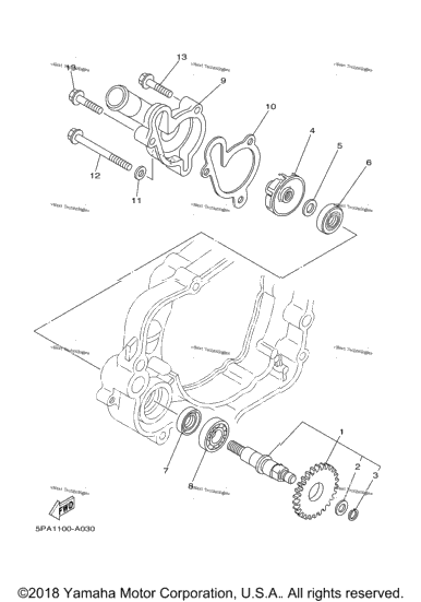 Water Pump