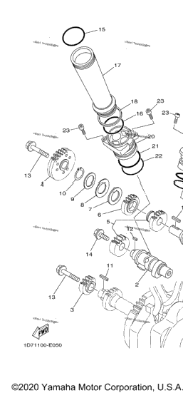 Camshaft Chain