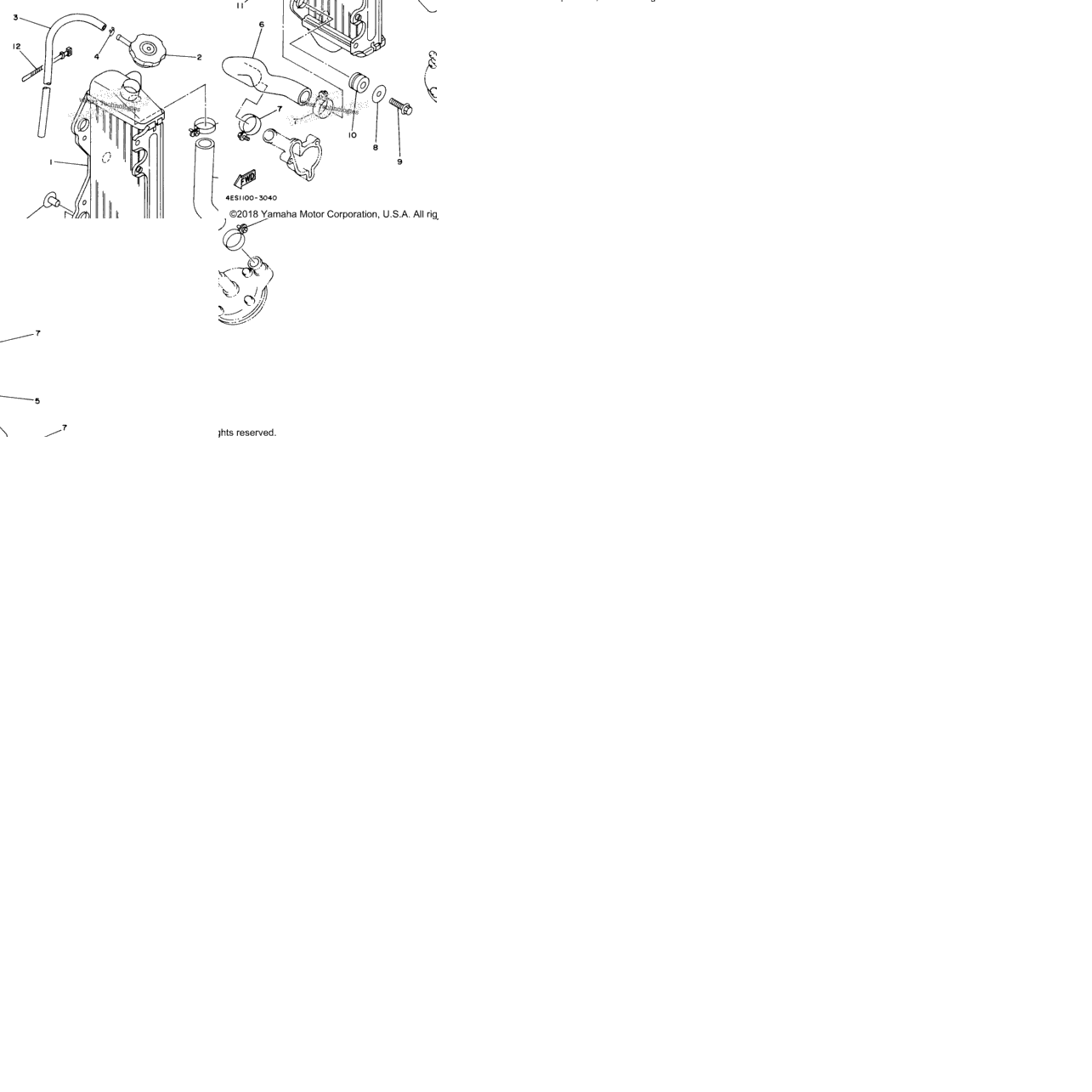 Radiator Hose