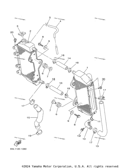 Radiator & Hose