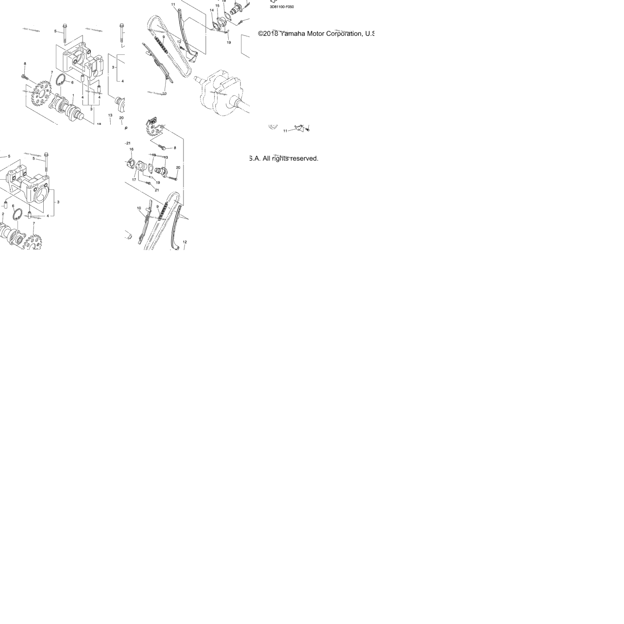 Camshaft Chain