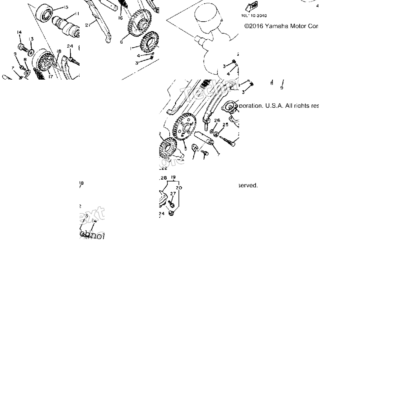 Camshaft Chain