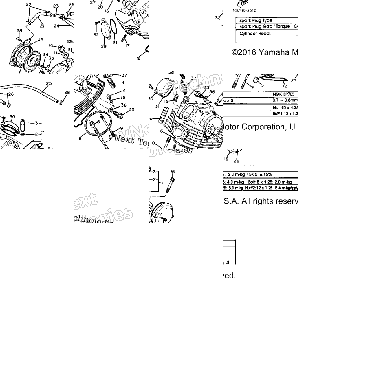 Cylinder Head