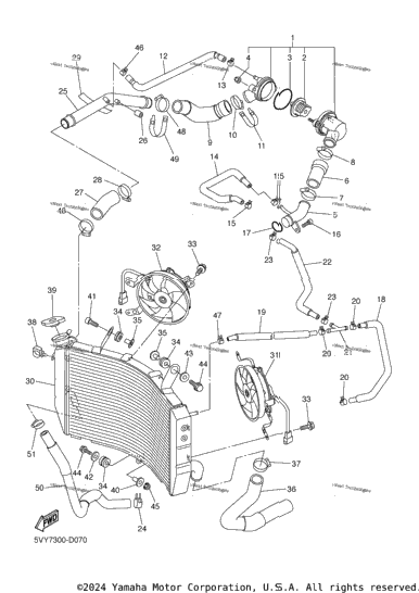 Radiator Hose