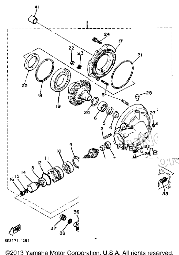 Drive Shaft